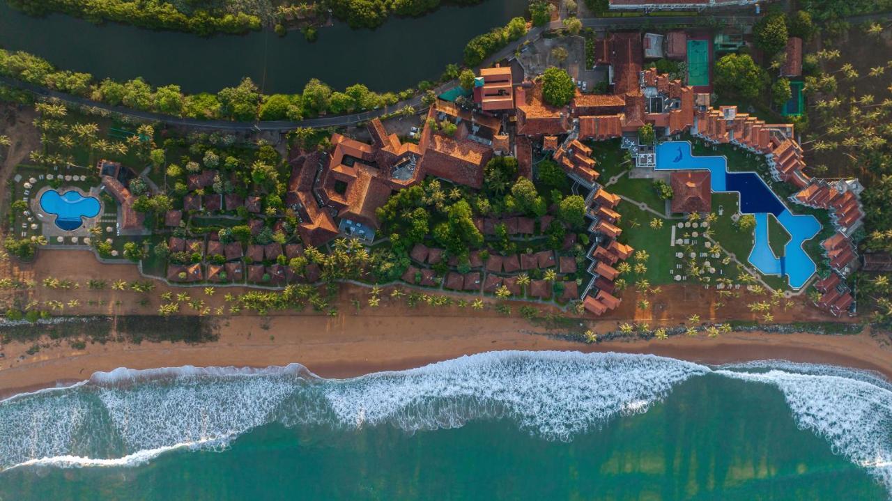 Курортный комплекс Club Dolphin